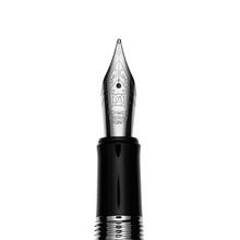 Load image into Gallery viewer, Etelburg DPAF I. steel nib bold