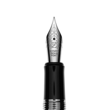 Load image into Gallery viewer, Etelburg DPAF I. steel nib fine